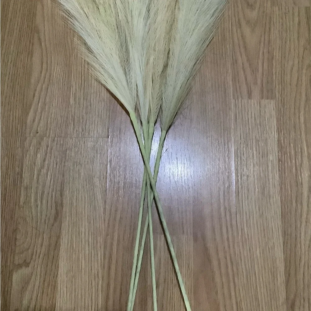 Boho Natural Sand Color Tall Faux Pampas Grass 4 Pieces